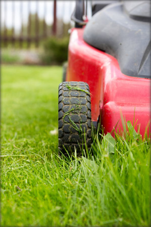 Lawn Mowing